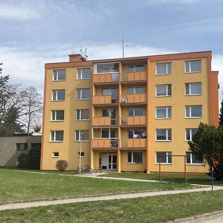 Apartman Ve Velkych Losinach Velké Losiny Kültér fotó