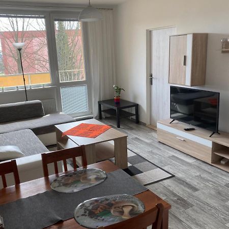 Apartman Ve Velkych Losinach Velké Losiny Kültér fotó